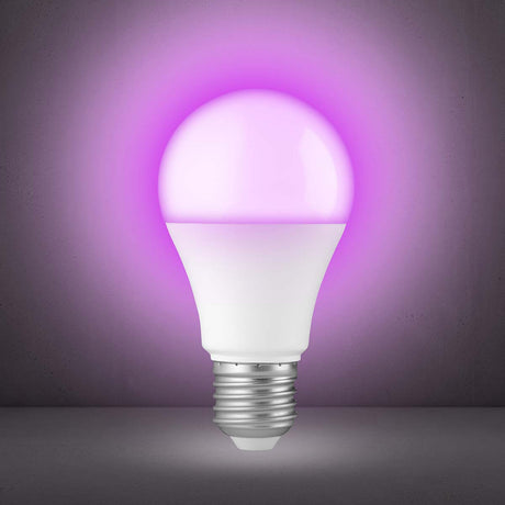 1437574|SMARTBULB10