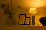 1461294|SMARTLIGHT130